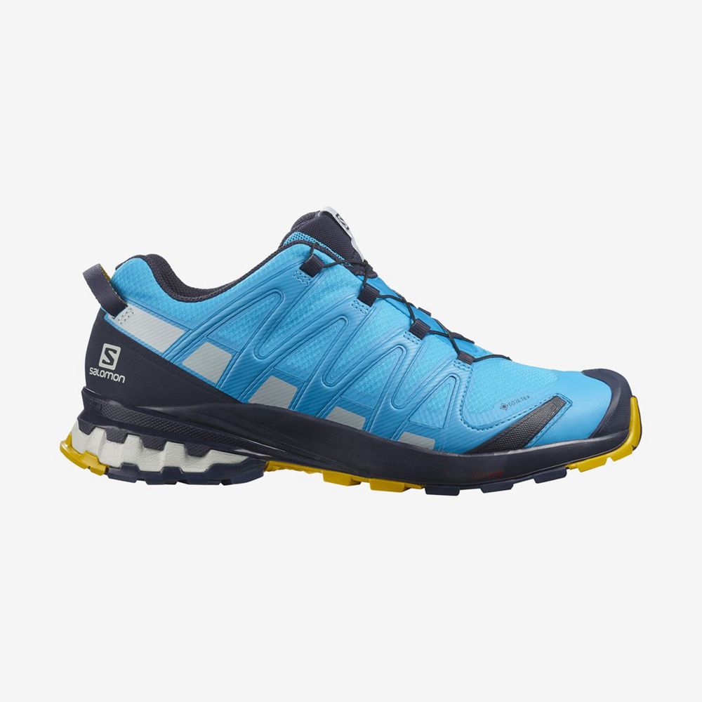 Salomon XA PRO 3D V8 GORE-TEX Zapatillas Trekking Hombre - Azules - Colombia (81203-UDAN)